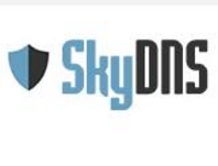SkyDNS Школа